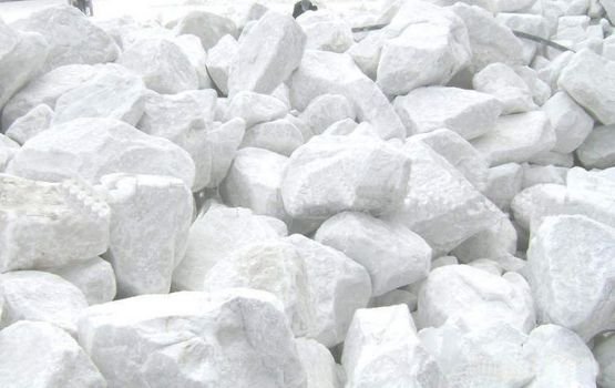 best Dolomite powder suppliers in india